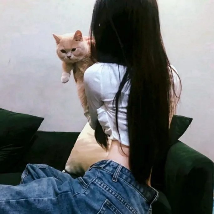小佳人